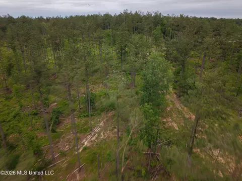 Graysport Crossing Road, Grenada, MS 38901 photo 15