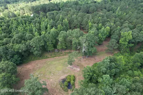 135 Joe Booth Rd, Taylorsville, MS 39168