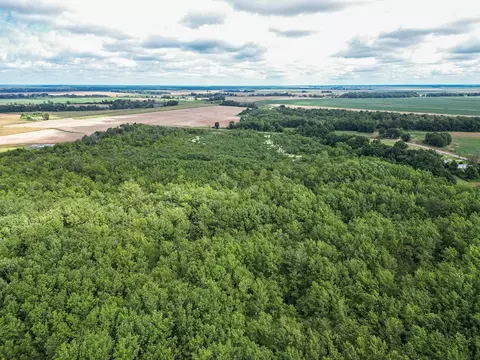 0 Dawson Rd, Tchula, MS 39169 photo 22