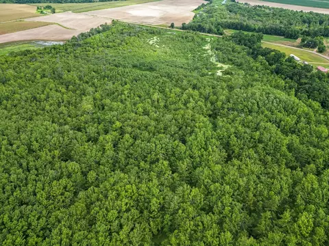 0 Dawson Rd, Tchula, MS 39169 photo 6