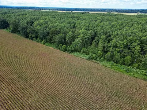 0 Dawson Rd, Tchula, MS 39169 photo 20