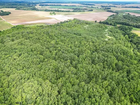 0 Dawson Rd, Tchula, MS 39169 photo 9