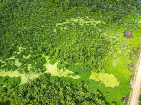 0 Dawson Rd, Tchula, MS 39169 photo 11