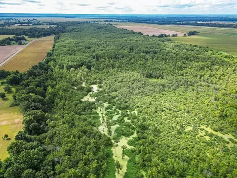 0 Dawson Rd, Tchula, MS 39169 photo 12