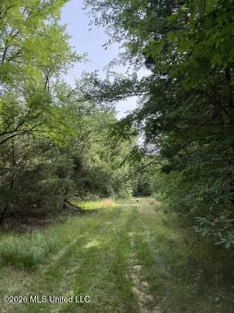 2304 Us-72 # A, Lamar, MS 38642 photo 13