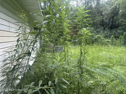 Exterior - 3025 Meadow Forest Dr, Jackson, MS 39212 photo 1 of 1