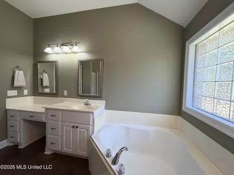 Bath - 285 Lighthouse Ln, Brandon, MS 39047 photo 2 of 4