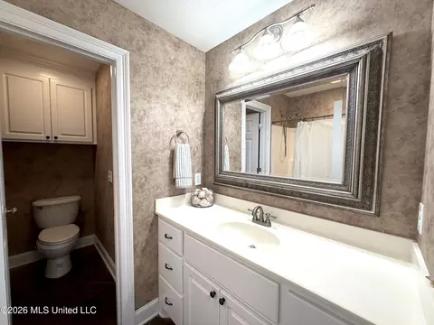 Bath - 285 Lighthouse Ln, Brandon, MS 39047 photo 4 of 4