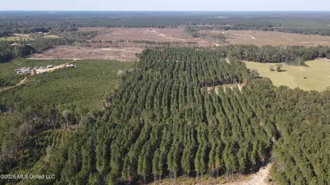 Loyd Irby Road, Pelahatchie, MS 39145