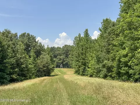 884 Avant Rd, Crenshaw, MS 38621 photo 140