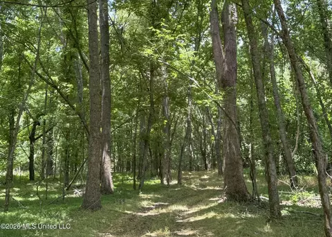 884 Avant Rd, Crenshaw, MS 38621 photo 126