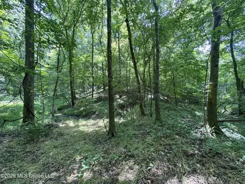 884 Avant Rd, Crenshaw, MS 38621 photo 106