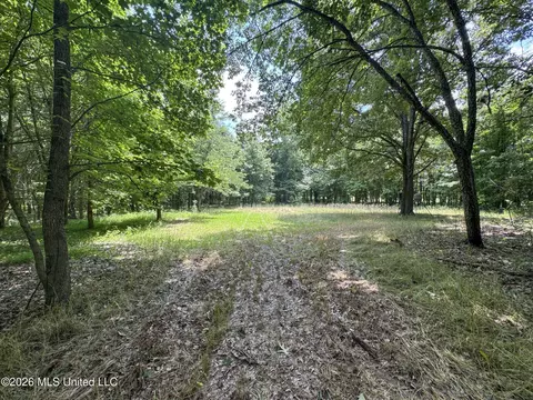884 Avant Rd, Crenshaw, MS 38621 photo 119