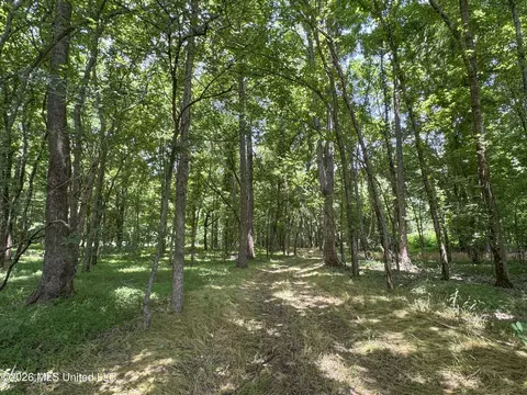 884 Avant Rd, Crenshaw, MS 38621 photo 127