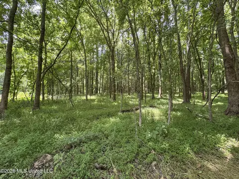 884 Avant Rd, Crenshaw, MS 38621 photo 125