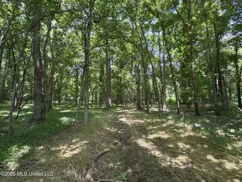 884 Avant Rd, Crenshaw, MS 38621 photo 124