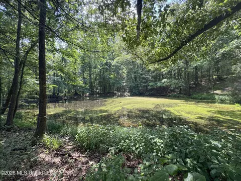 884 Avant Rd, Crenshaw, MS 38621 photo 143