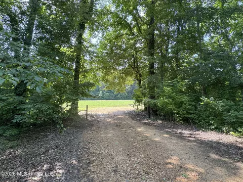 884 Avant Rd, Crenshaw, MS 38621 photo 69