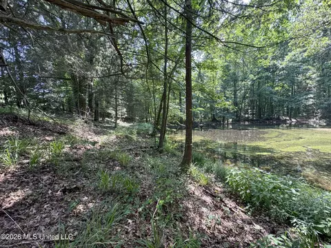 884 Avant Rd, Crenshaw, MS 38621 photo 144