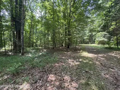 884 Avant Rd, Crenshaw, MS 38621 photo 117