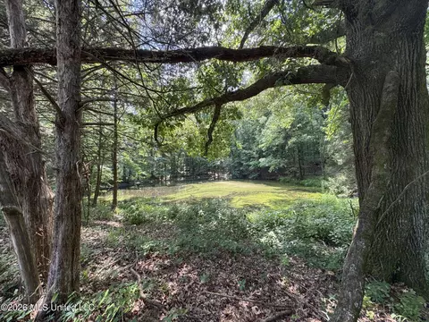 884 Avant Rd, Crenshaw, MS 38621 photo 141