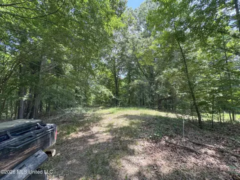 884 Avant Rd, Crenshaw, MS 38621 photo 102