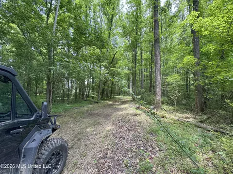 884 Avant Rd, Crenshaw, MS 38621 photo 132