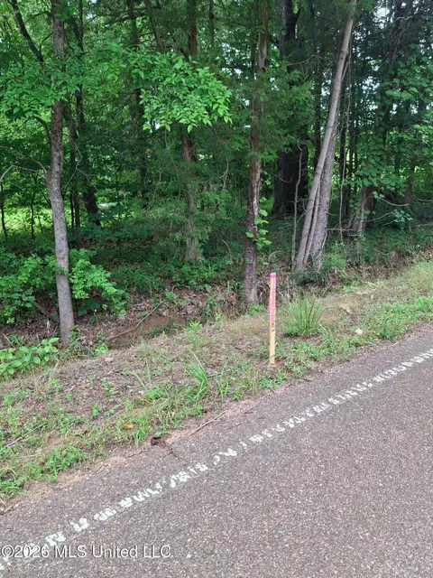 0 Denman Rd, Byhalia, MS 38611