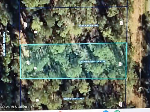 Nhn Sunflower Street, Bay Saint Louis, MS 39520