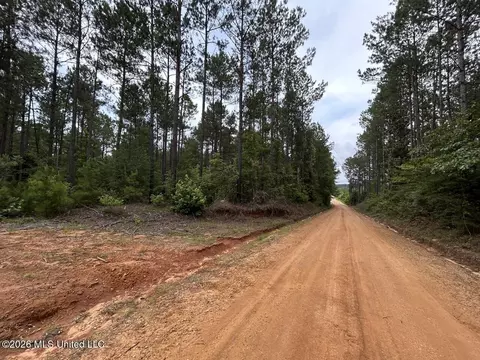 6643 Grange Hall Rd, Osyka, MS 39657
