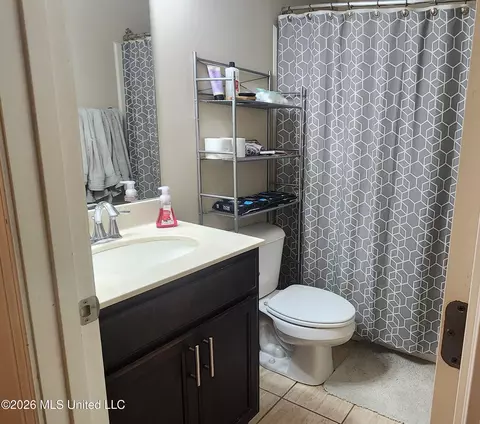 Bath - 13451 Berkstone Loop, Olive Branch, MS 38654 photo 1 of 1