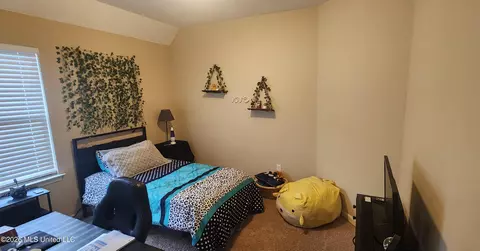 Bedroom - 13451 Berkstone Loop, Olive Branch, MS 38654 photo 2 of 6