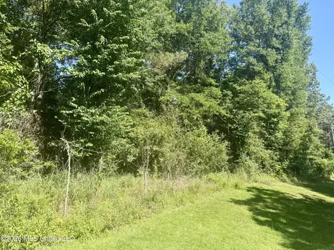 Willow Way, Flora, MS 39071 photo 5