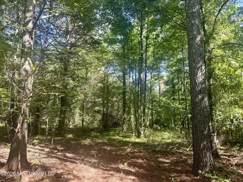 Willow Way, Flora, MS 39071 photo 2