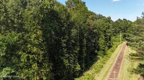 Willow Way, Flora, MS 39071 photo 10
