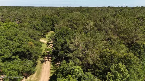 Willow Way, Flora, MS 39071 photo 12