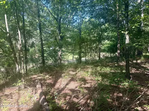 Willow Way, Flora, MS 39071 photo 3