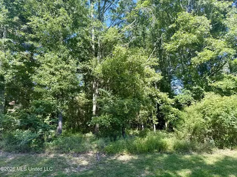 Willow Way, Flora, MS 39071 photo 8