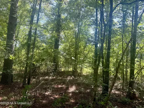 Willow Way, Flora, MS 39071 photo 4