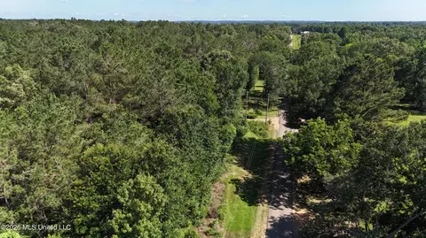 Willow Way, Flora, MS 39071 photo 13
