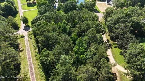 Willow Way, Flora, MS 39071 photo 9
