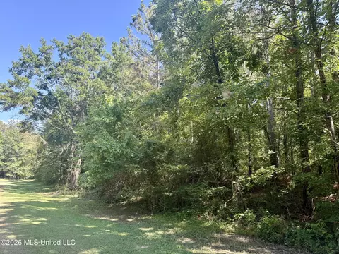 Willow Way, Flora, MS 39071 photo 7