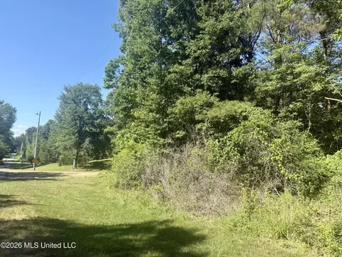 Willow Way, Flora, MS 39071 photo 6