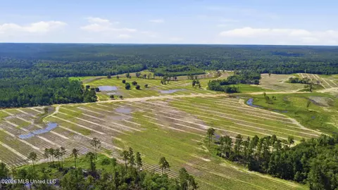 Baxter Ave, Lucedale, MS 39452 photo 6