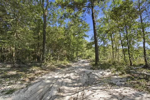 Baxter Ave, Lucedale, MS 39452 photo 24