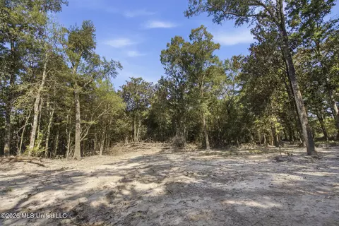 Baxter Ave, Lucedale, MS 39452 photo 22