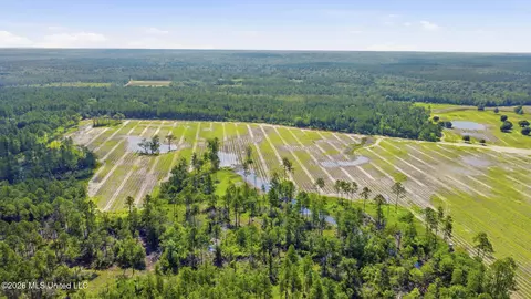 Baxter Ave, Lucedale, MS 39452 photo 7