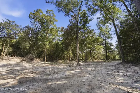 Baxter Ave, Lucedale, MS 39452 photo 21