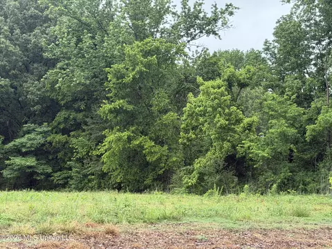 Green River Road, Lake Cormorant, MS 38641