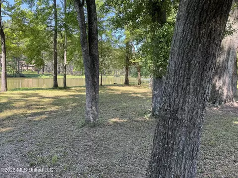 Other - 190 Deerwood Xing, Canton, MS 39046 photo 16 of 18